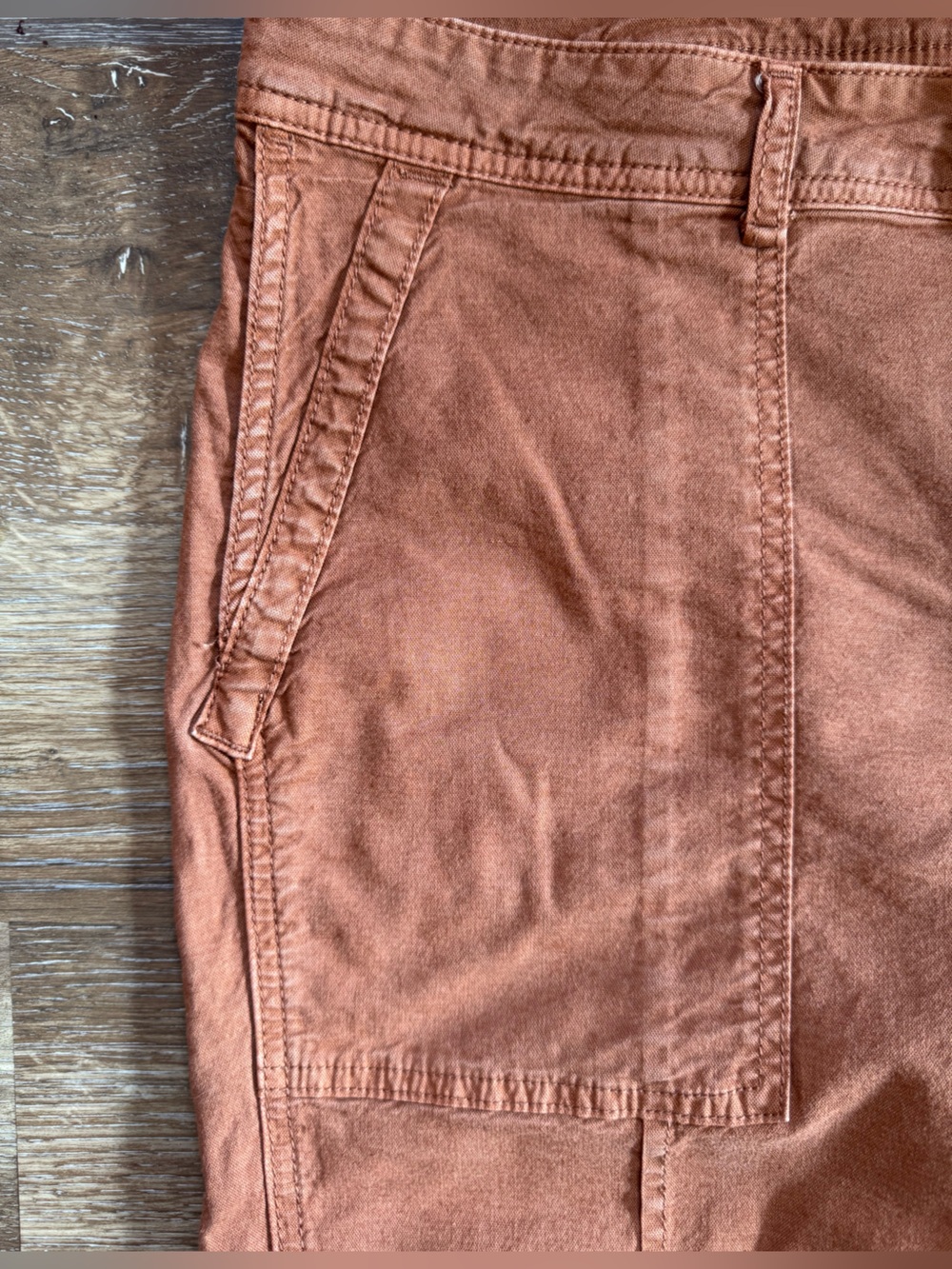 Anthropologie The Wanderer Pants in Burnt Sienna Sz 30 - Picture 2 of 13